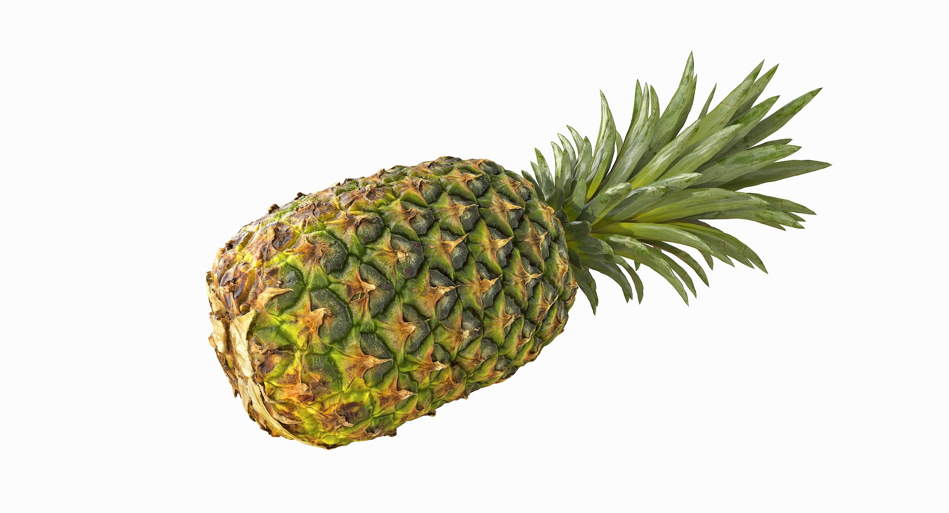 realistic 3D model https://p.turbosquid.com/ts-thumb/rU/af2gif/f9Txp9Da/pineapple_038/jpg/1550938456/1920x1080/fit_q87/6d0460512971598b03ea04b55209eaca54789038/pineapple_038.jpg