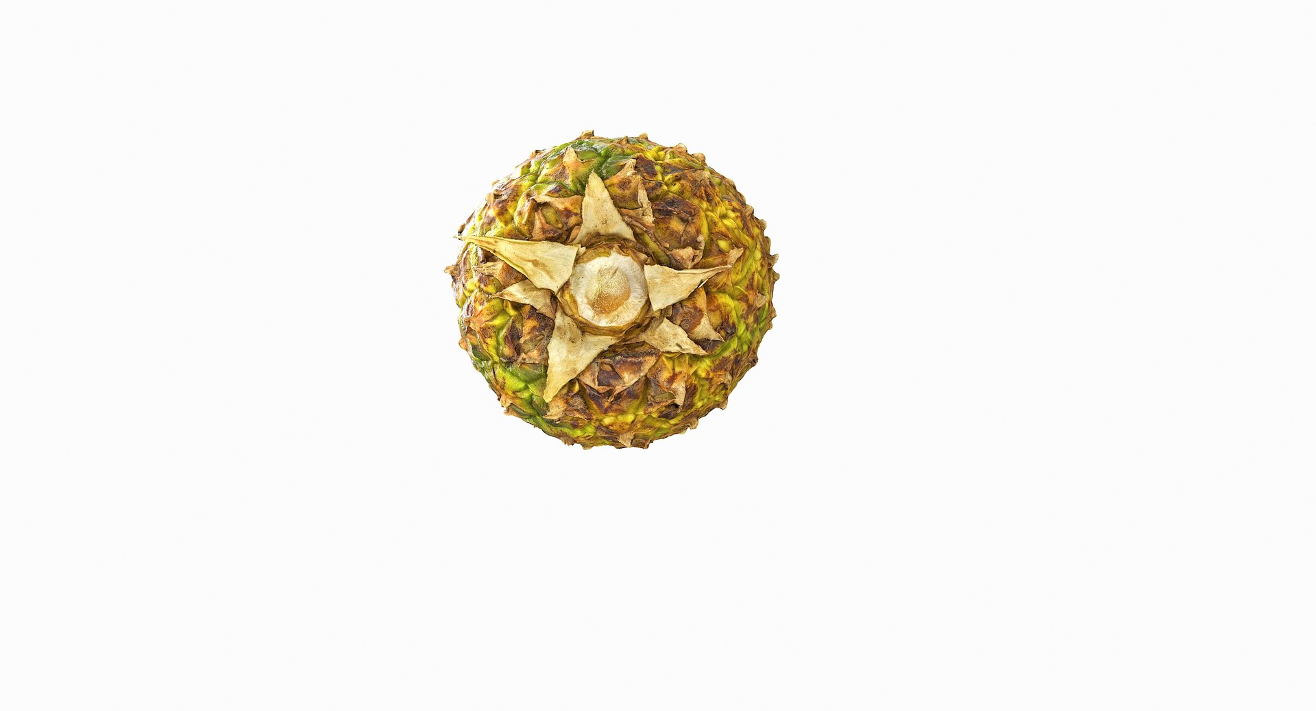 realistic 3D model https://p.turbosquid.com/ts-thumb/rU/af2gif/iuyfswZq/pineapple_042/jpg/1550938456/1920x1080/fit_q87/e83ca850898ad1f644a2c04c6e42d035cf2069ef/pineapple_042.jpg