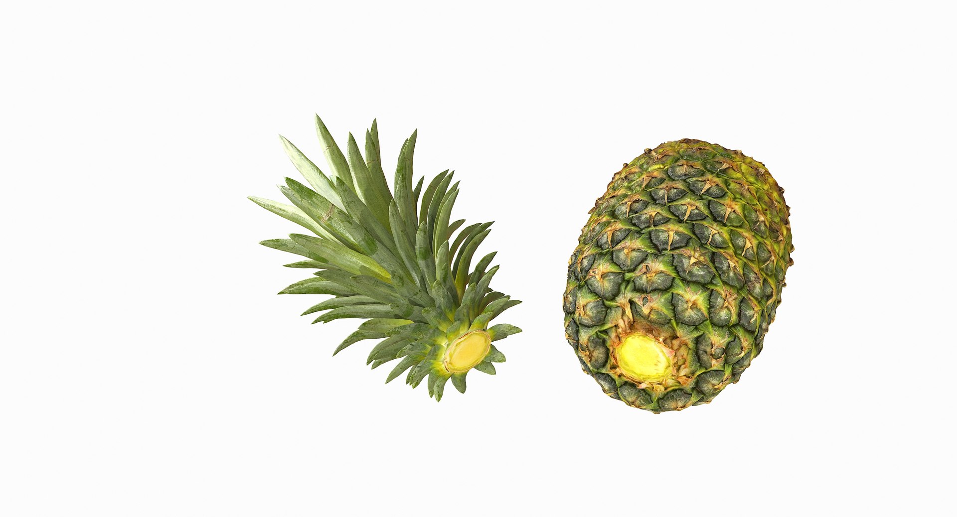realistic 3D model https://p.turbosquid.com/ts-thumb/rU/af2gif/oA3CD33q/pineapple_083/jpg/1550938457/1920x1080/fit_q87/0fc92002f35957743206b9026d5214f04836b4bf/pineapple_083.jpg