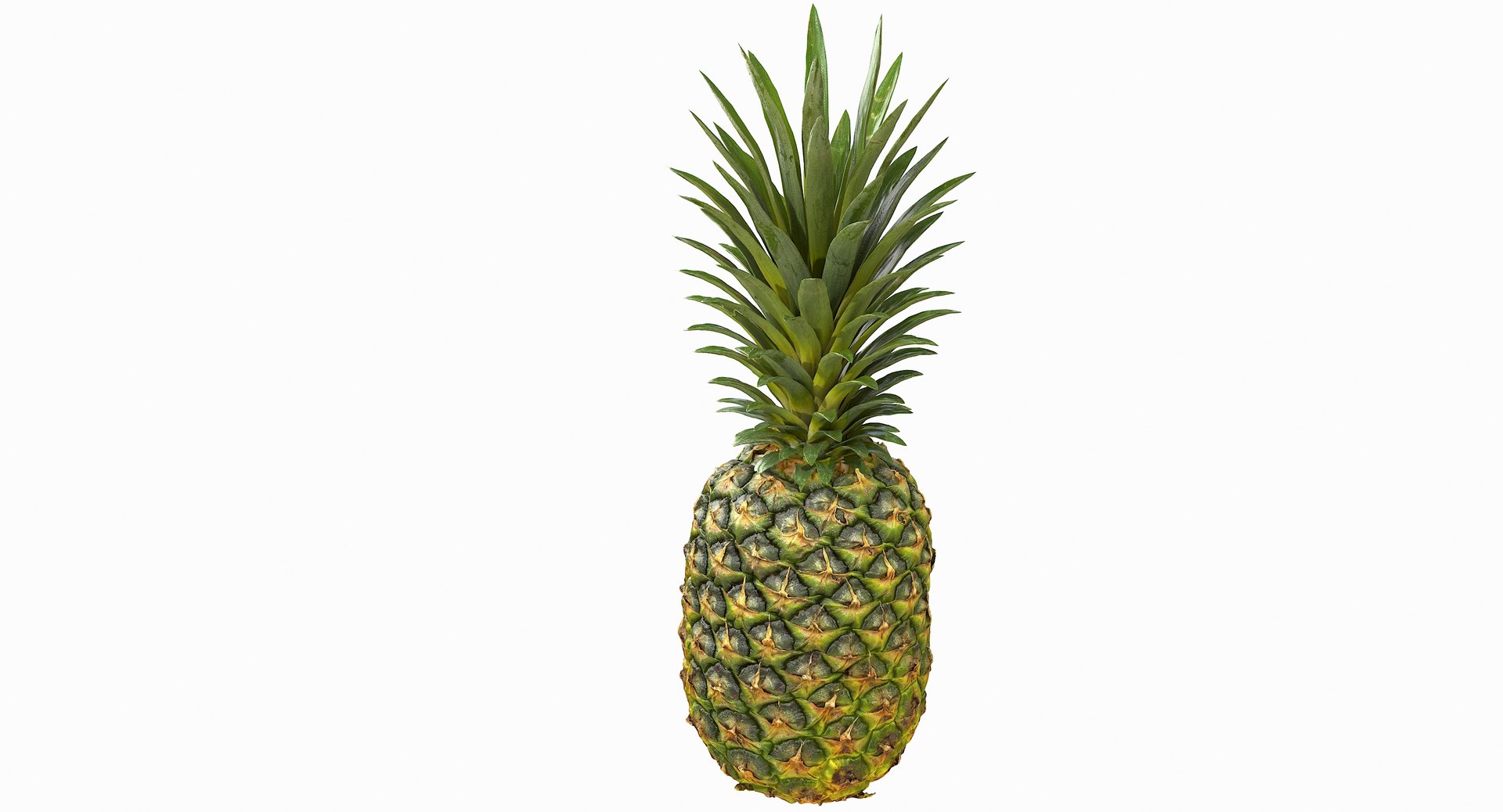realistic 3D model https://p.turbosquid.com/ts-thumb/rU/af2gif/p6PHOzzu/pineapple_086/jpg/1550938457/1920x1080/fit_q87/8997237612b9f8c042b0f57cb4aef6ba384f1588/pineapple_086.jpg