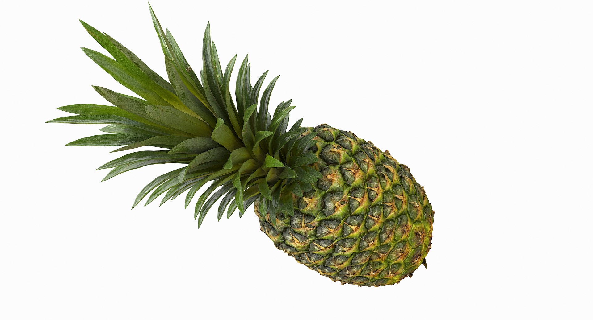 realistic 3D model https://p.turbosquid.com/ts-thumb/rU/af2gif/qvMy3hFU/pineapple_051/jpg/1550938456/1920x1080/fit_q87/c1224c6d3252d8a808cf5c12b3667993698140da/pineapple_051.jpg