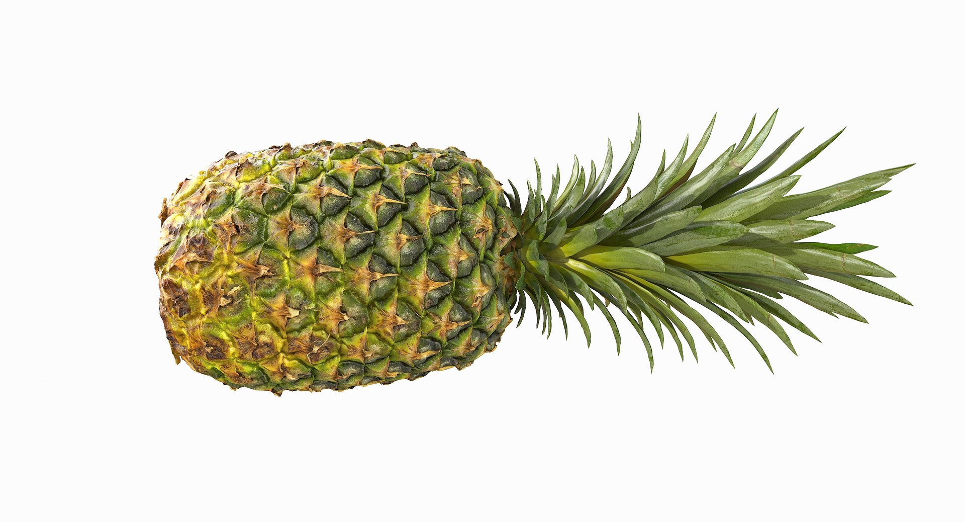 realistic 3D model https://p.turbosquid.com/ts-thumb/rU/af2gif/rKcGPOAs/pineapple_071/jpg/1550938457/1920x1080/fit_q87/71a9185ba66cc2891a780223d3831244ddefab46/pineapple_071.jpg
