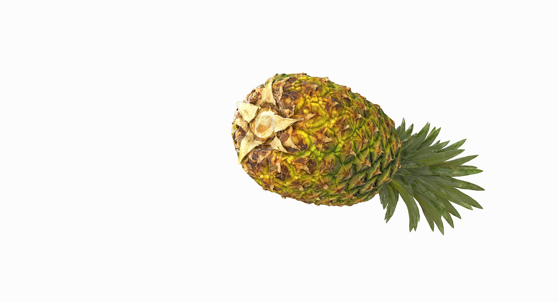 realistic 3D model https://p.turbosquid.com/ts-thumb/rU/af2gif/rvkeBRbR/pineapple_044/jpg/1550938456/1920x1080/fit_q87/ff4eea0606c667d0e544b603e3871109c02b0231/pineapple_044.jpg