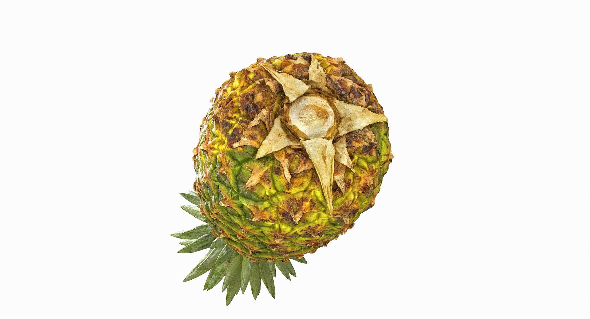 realistic 3D model https://p.turbosquid.com/ts-thumb/rU/af2gif/ry2NBNy8/pineapple_014/jpg/1550938455/1920x1080/fit_q87/84b382cc4e25cc447bdeebd4303501d5aafe0702/pineapple_014.jpg