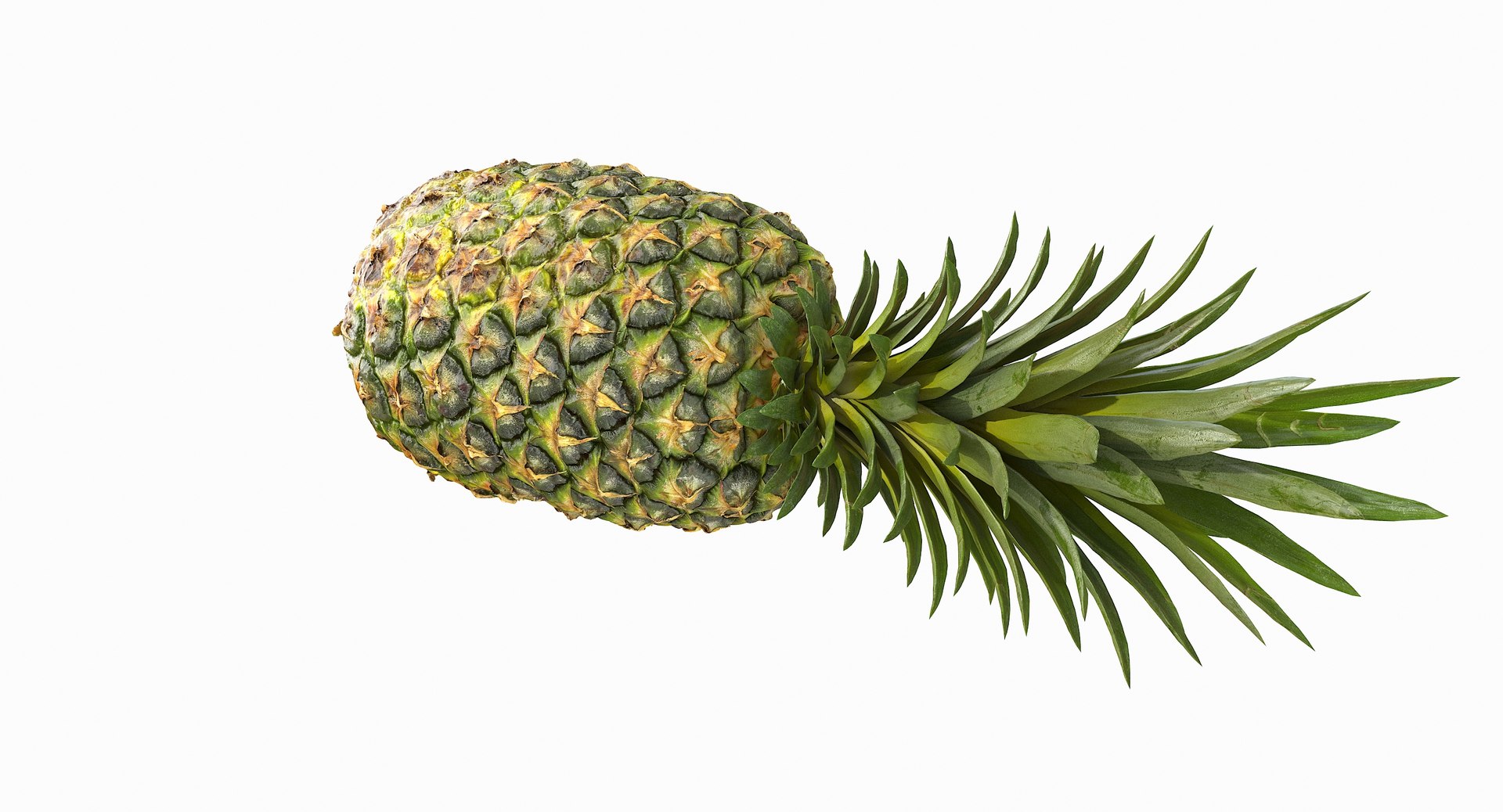 realistic 3D model https://p.turbosquid.com/ts-thumb/rU/af2gif/tKZzvSeC/pineapple_031/jpg/1550938456/1920x1080/fit_q87/f226c25940c099cef7ca204af7209ffd8929928d/pineapple_031.jpg