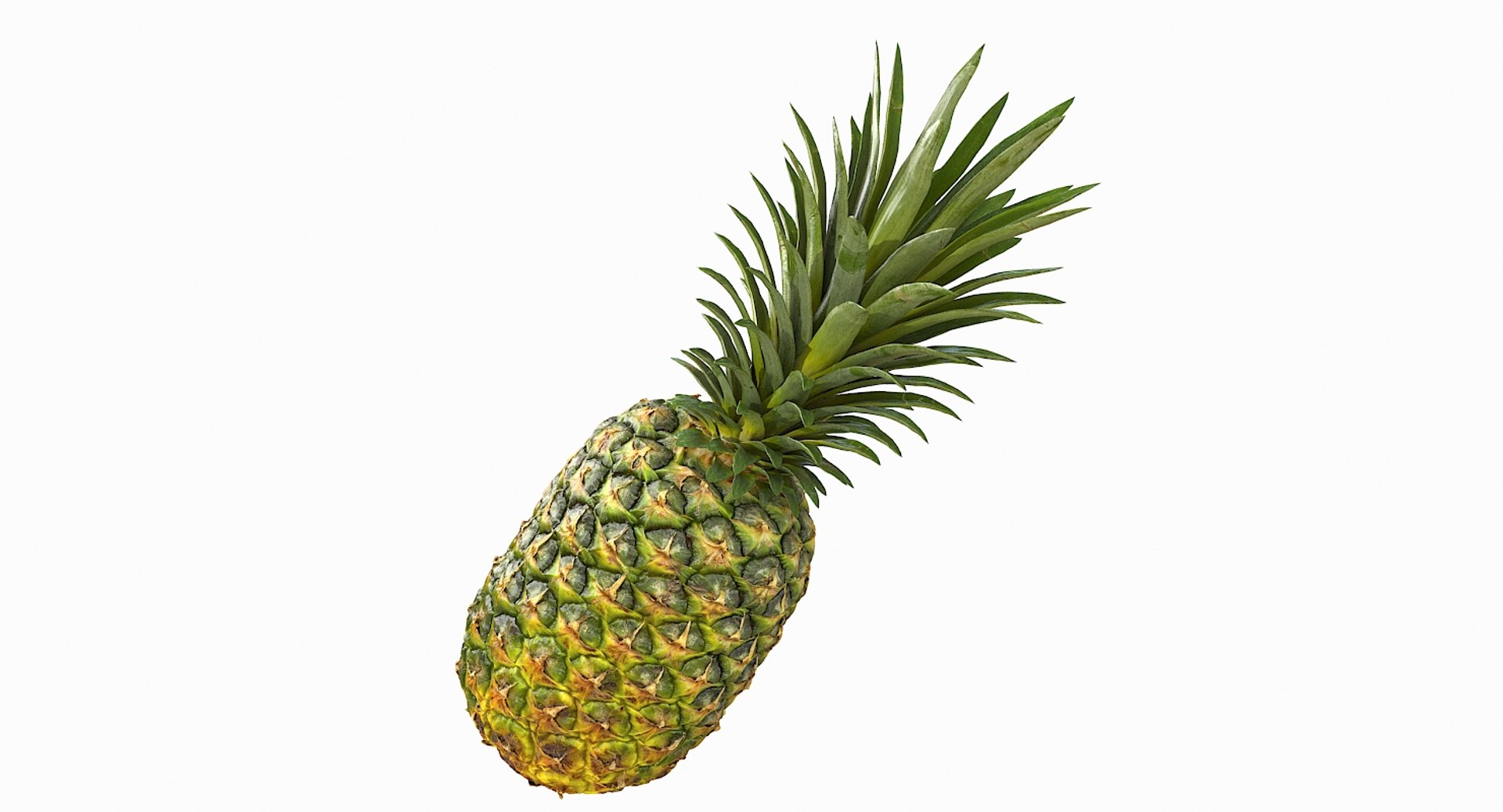 realistic 3D model https://p.turbosquid.com/ts-thumb/rU/af2gif/uMxbsBUc/pineapple_058/jpg/1550938456/1920x1080/fit_q87/2722ca4c037da871f15436319f1422bb5e508390/pineapple_058.jpg