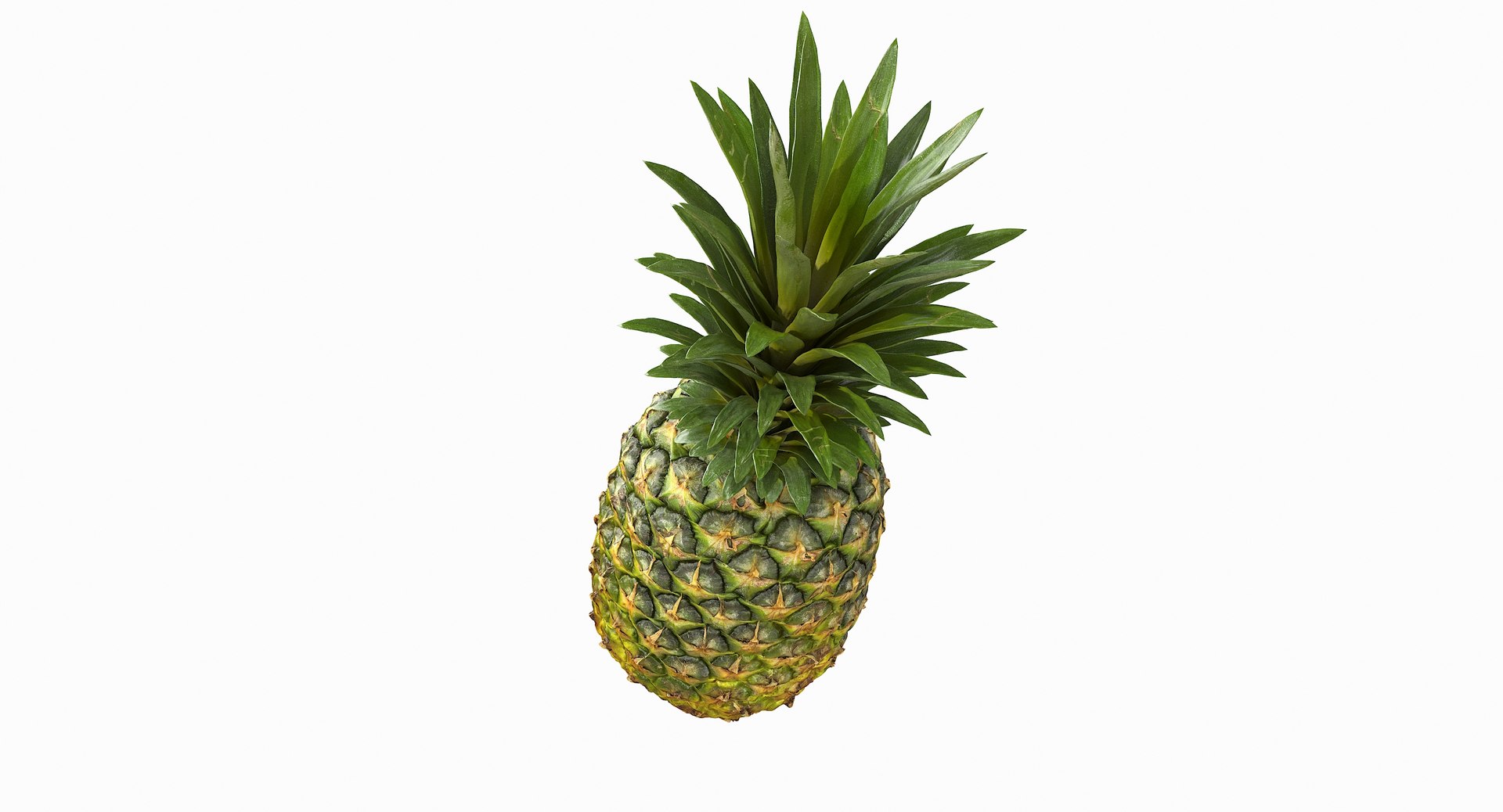 realistic 3D model https://p.turbosquid.com/ts-thumb/rU/af2gif/ukhraEBF/pineapple_078/jpg/1550938457/1920x1080/fit_q87/0c44e6872e9f220076979c2bc060b2f932546161/pineapple_078.jpg