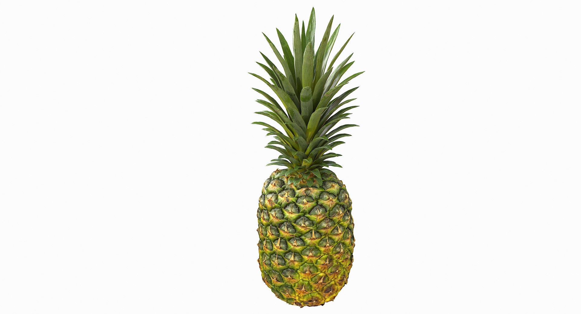 realistic 3D model https://p.turbosquid.com/ts-thumb/rU/af2gif/uyNd78AI/pineapple_016/jpg/1550938455/1920x1080/fit_q87/3c54ac8ccc79fce6bc3cca3e3bddebc142728dad/pineapple_016.jpg