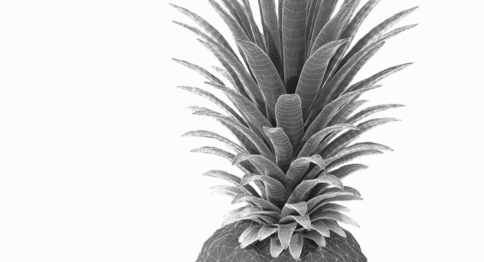 realistic 3D model https://p.turbosquid.com/ts-thumb/rU/af2gif/xC8I13n8/pineapple_095/jpg/1550938457/1920x1080/fit_q87/1b3adec359d03d9b82a3547f2dfb9d5e3ac2a86c/pineapple_095.jpg