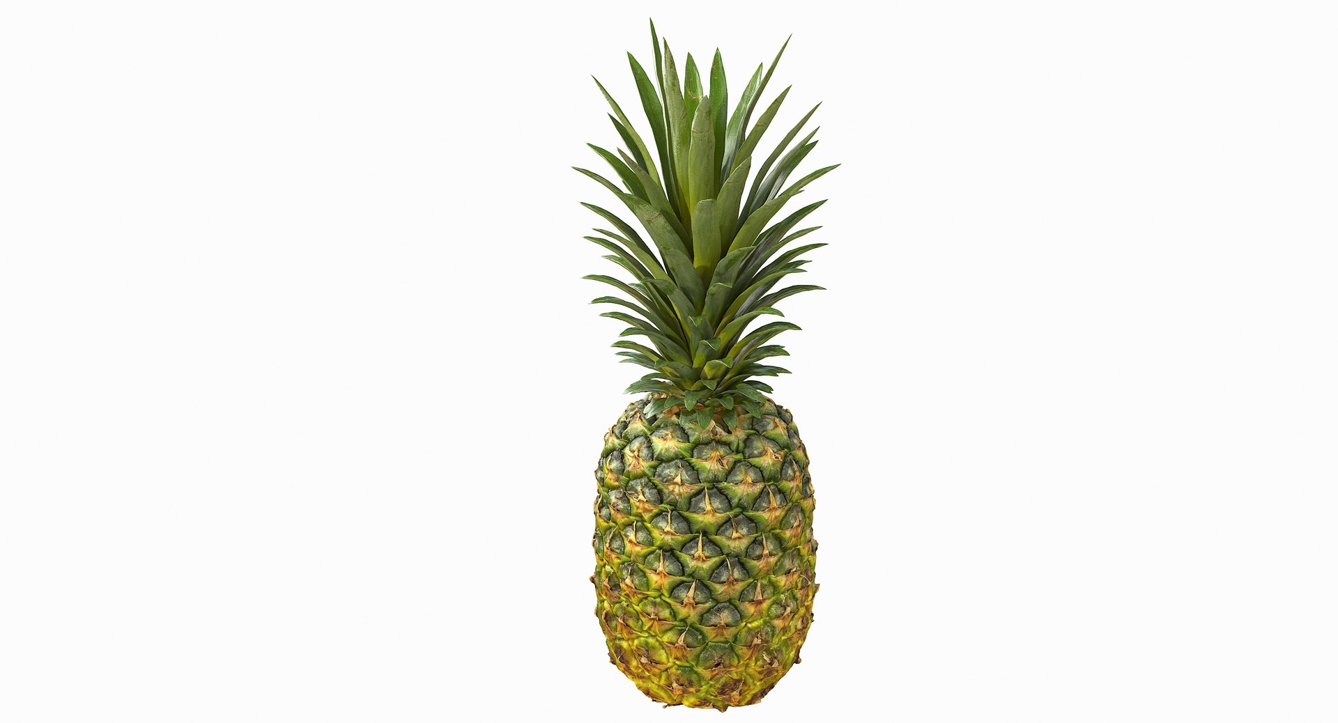 realistic 3D model https://p.turbosquid.com/ts-thumb/rU/af2gif/xYvLGjYO/pineapple_017/jpg/1550938455/1920x1080/fit_q87/a8ffd1705c105aa12bae6257322b365a0ae78c28/pineapple_017.jpg