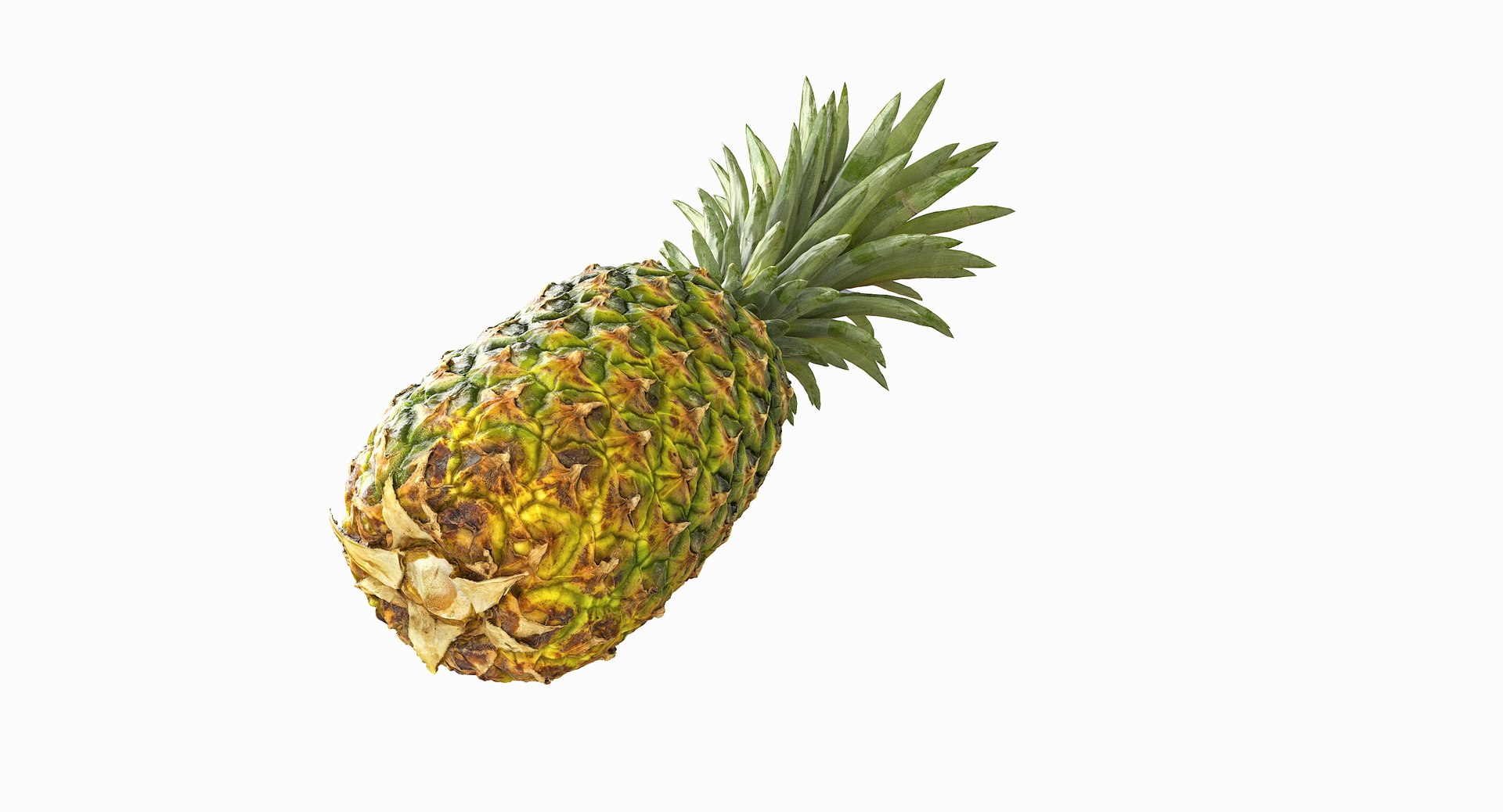 realistic 3D model https://p.turbosquid.com/ts-thumb/rU/af2gif/ydSThx86/pineapple_043/jpg/1550938456/1920x1080/fit_q87/24c04c11e0eba655c150e970d885ac5608204c8d/pineapple_043.jpg