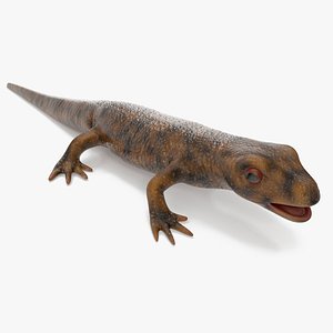 Pleurodeles Waltl 3D model