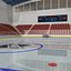 Hockey su ghiaccio Arena