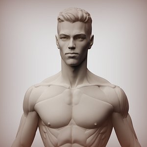 3D Man anatomy model