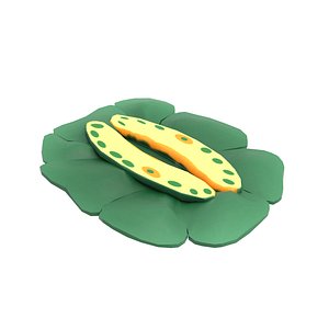 Closed Stomatal Pore 3D model