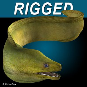 realistic green moray eel 3d model