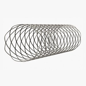3D rigged stent model