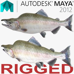 pink salmon rigged 3d model