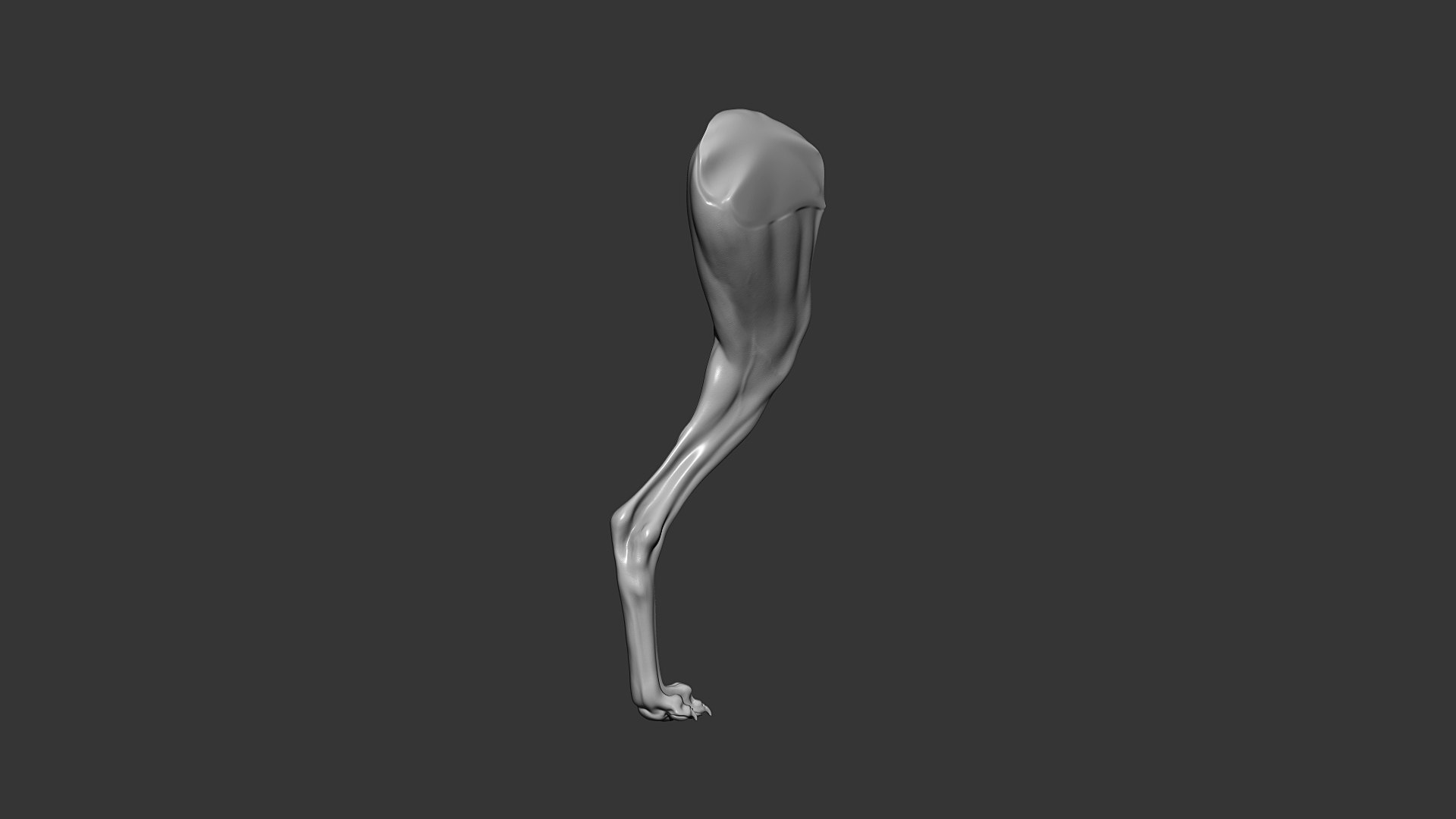 Dog Rear Leg Highpoly Sculpt 3D model https://p.turbosquid.com/ts-thumb/rV/ZY9fME/vd/greyhound_dog_rear_leg_06/jpg/1635425227/1920x1080/fit_q87/037e1ba01424c30187540a71d8792592a2f498b3/greyhound_dog_rear_leg_06.jpg