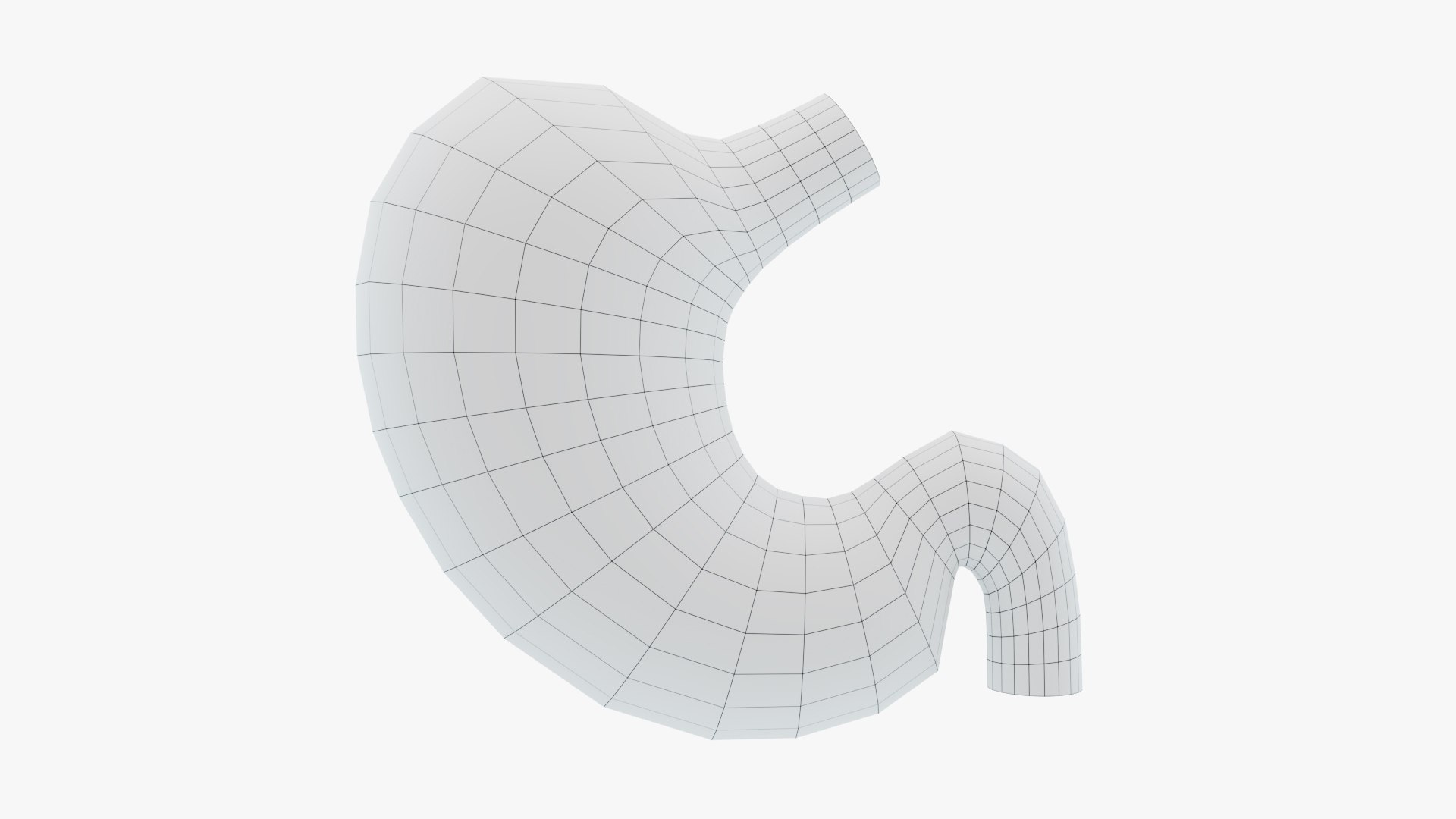 3D Stomach Anatomy https://p.turbosquid.com/ts-thumb/rV/b7z1X6/8w/wire_002/jpg/1710601961/1920x1080/fit_q87/915fd74be14ac35dcc7f888c4da72cc86c372b33/wire_002.jpg