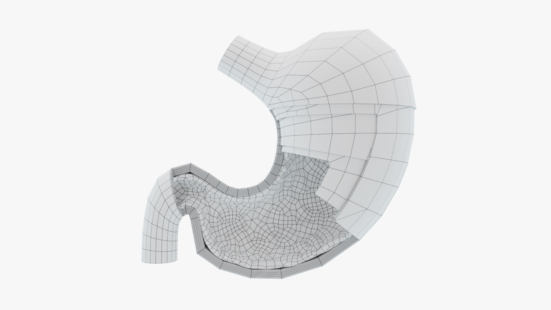 3D Stomach Anatomy https://p.turbosquid.com/ts-thumb/rV/b7z1X6/9A/wire_000/jpg/1710601959/1920x1080/fit_q87/101a61f66847a2b96fae95a27176f338edfd3ad1/wire_000.jpg