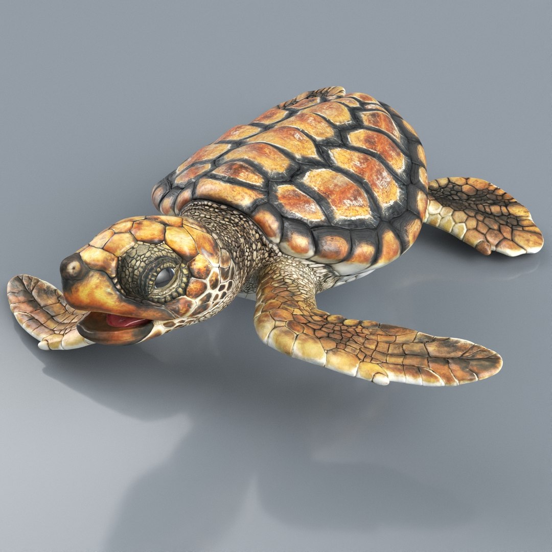 Baby Sea Turtle Brown Rigged For Maya Animated Set 3D model preview