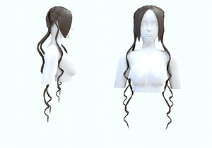 3D Long Stylized Hairstyle model