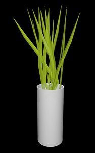 modern vase plant 3d 3ds