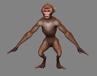 Cartoon animals - monkey