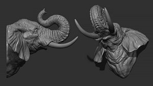 3D Elephant raised its trunk model