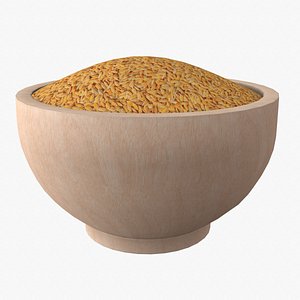 Paddy in wooden bowl 3D model
