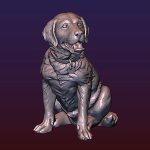 Labrador 3D print model