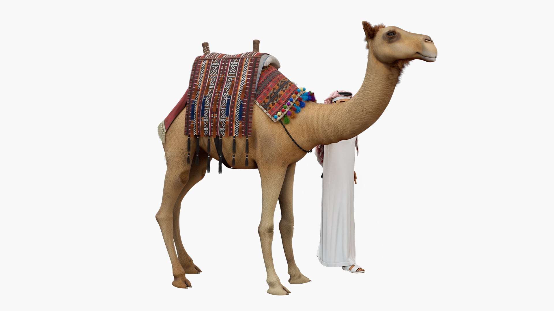 Arab Man with Camel 3d model 3D model https://p.turbosquid.com/ts-thumb/rW/8tzNEY/pN/06/jpg/1759596285/1920x1080/fit_q87/188375a1b6f9505e0690d474977254ff77a614dd/06.jpg