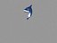 cartoon Shark