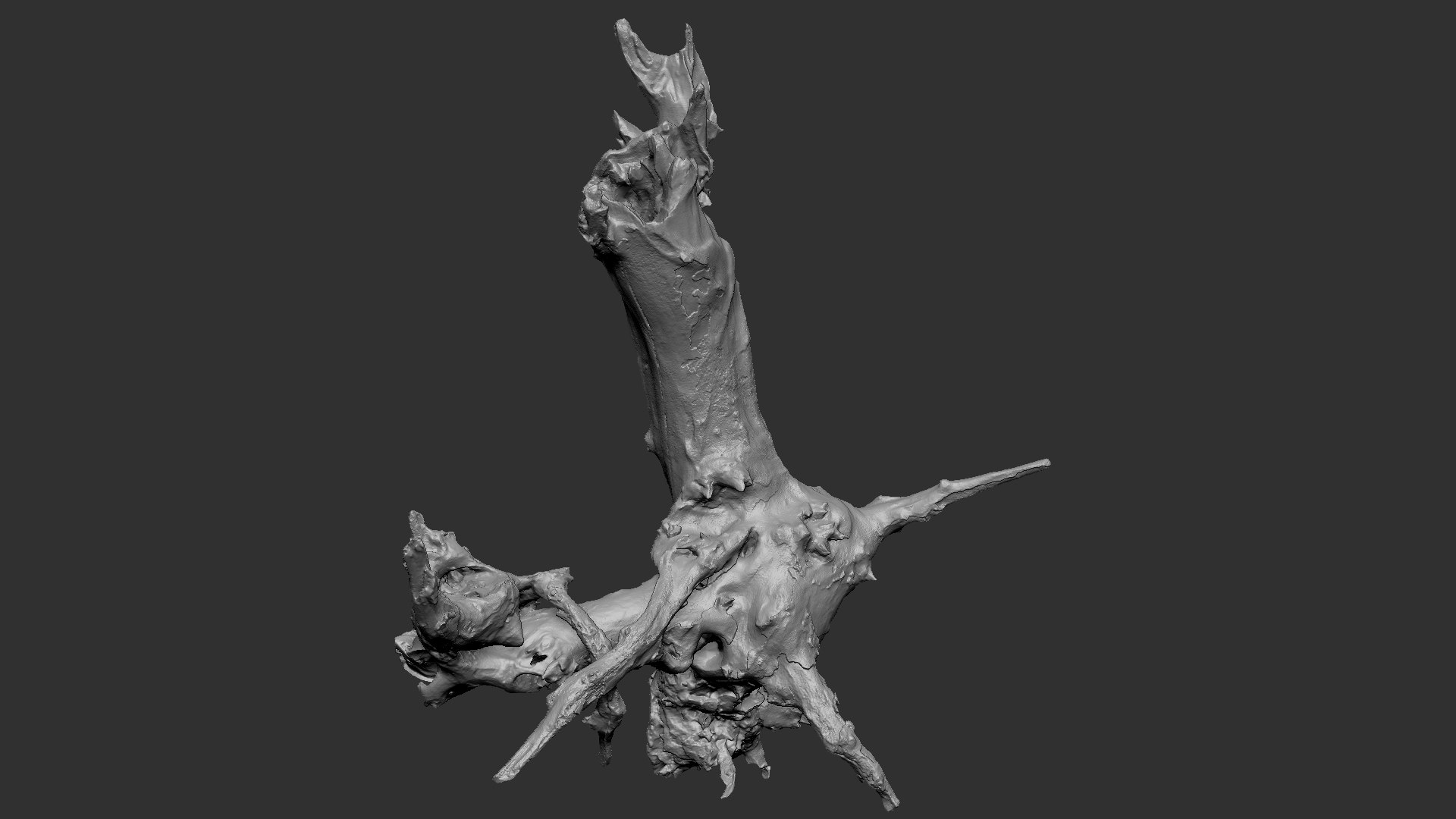 Withered tree root wood trunk zbrush engraving highpoly 3D model https://p.turbosquid.com/ts-thumb/rW/Fm5ESb/4g/scr04/jpg/1764649346/1920x1080/fit_q87/69c3dcd39f4cd396052d0cf9b6f46b98c4ae8323/scr04.jpg