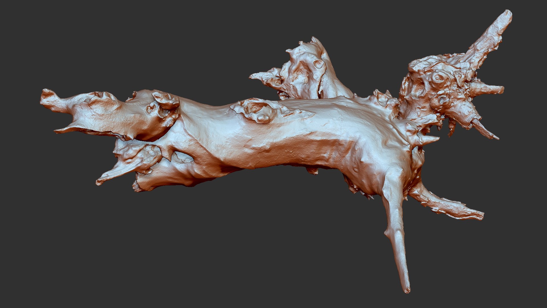 Withered tree root wood trunk zbrush engraving highpoly 3D model https://p.turbosquid.com/ts-thumb/rW/Fm5ESb/Fd/scr12/jpg/1764649363/1920x1080/fit_q87/98d82b866597d82393f947e1207fd939bcb730f4/scr12.jpg