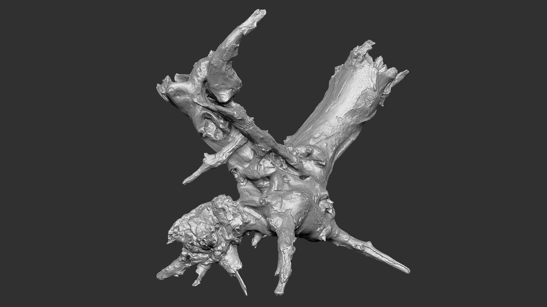 Withered tree root wood trunk zbrush engraving highpoly 3D model https://p.turbosquid.com/ts-thumb/rW/Fm5ESb/Pt/scr18/jpg/1764649372/1920x1080/fit_q87/2ae5d7e9af5c8c9c6833384b3c3e5115e4ab7bd2/scr18.jpg