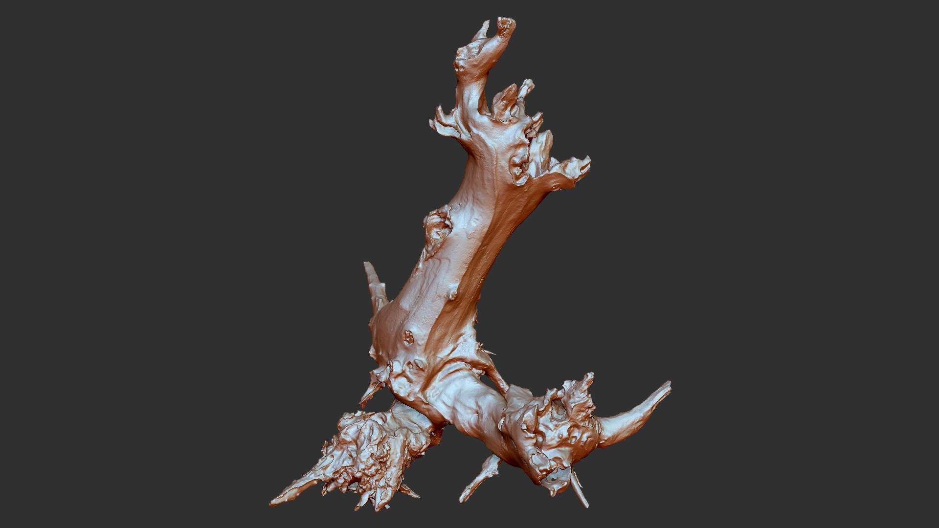 Withered tree root wood trunk zbrush engraving highpoly 3D model https://p.turbosquid.com/ts-thumb/rW/Fm5ESb/VH/scr13/jpg/1764649363/1920x1080/fit_q87/2f2cf1b176ec0f254bec6f21d9ae46c5a4d28819/scr13.jpg