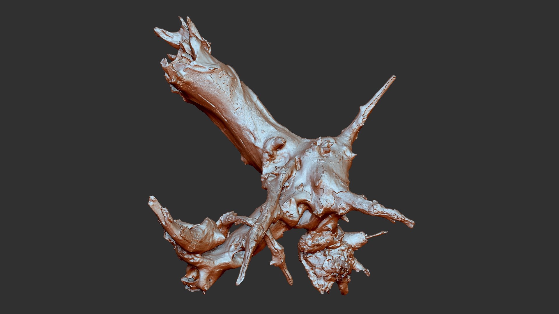 Withered tree root wood trunk zbrush engraving highpoly 3D model https://p.turbosquid.com/ts-thumb/rW/Fm5ESb/WM/scr10/jpg/1764649359/1920x1080/fit_q87/4d8b61787d30d8bd957fe2c88b3c04fda362d044/scr10.jpg