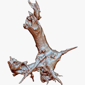 Withered tree root wood trunk zbrush engraving highpoly 3D model