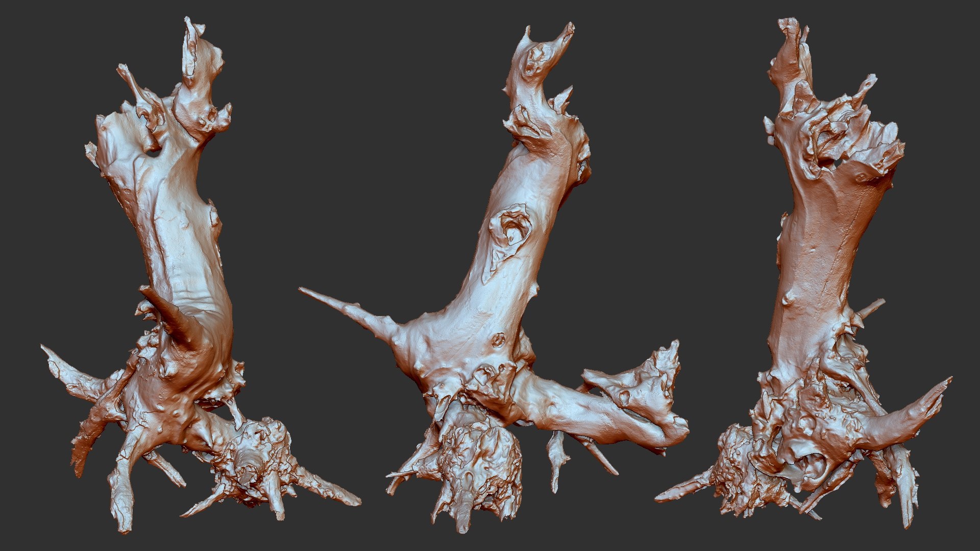 Withered tree root wood trunk zbrush engraving highpoly 3D model https://p.turbosquid.com/ts-thumb/rW/Fm5ESb/ZS/scr08/jpg/1764649355/1920x1080/fit_q87/47fb009c29daa84e766afd2e6db6425ed3c05ee5/scr08.jpg