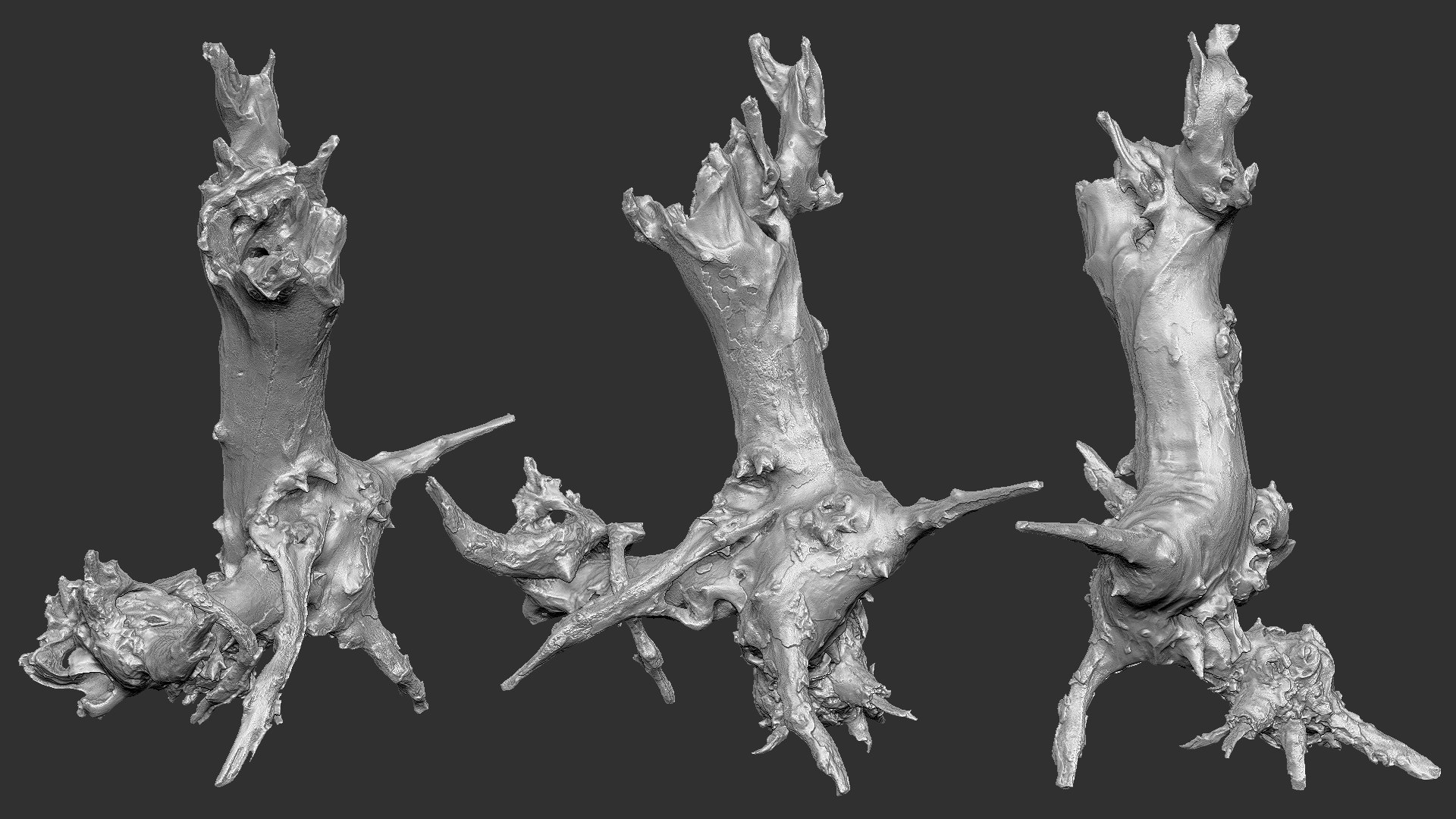 Withered tree root wood trunk zbrush engraving highpoly 3D model https://p.turbosquid.com/ts-thumb/rW/Fm5ESb/cq/scr15/jpg/1764649369/1920x1080/fit_q87/b006952576dccadb649d8c56e94ad7ba5b5a8d2f/scr15.jpg