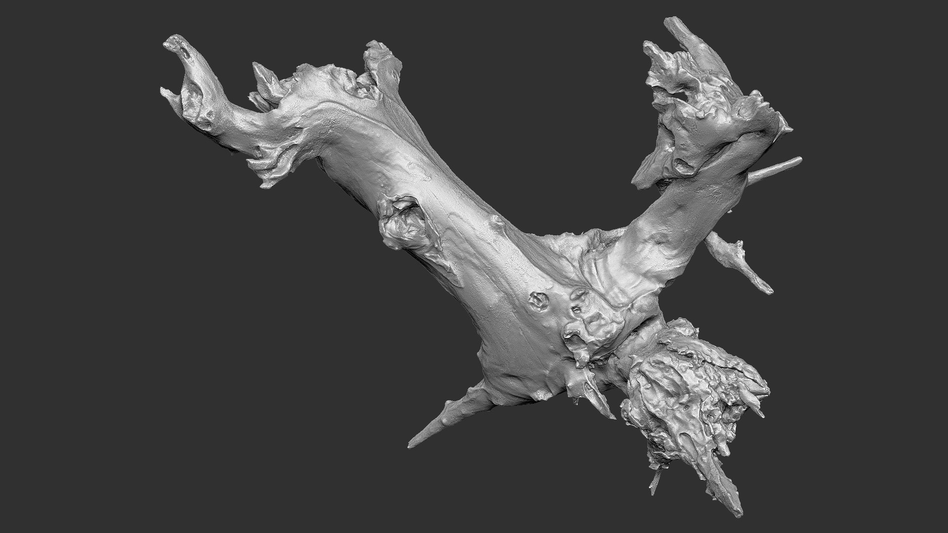 Withered tree root wood trunk zbrush engraving highpoly 3D model https://p.turbosquid.com/ts-thumb/rW/Fm5ESb/fX/scr19/jpg/1764649377/1920x1080/fit_q87/fb31240c8c8869ff1699c10fdff161cce494d365/scr19.jpg