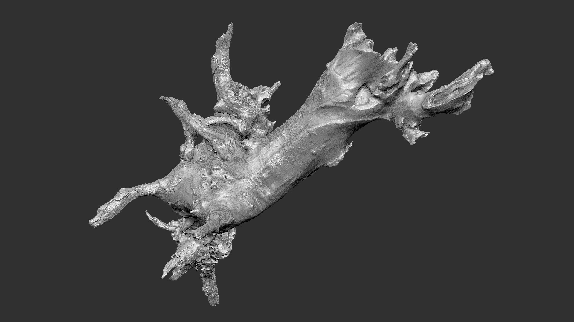 Withered tree root wood trunk zbrush engraving highpoly 3D model https://p.turbosquid.com/ts-thumb/rW/Fm5ESb/jl/scr17/jpg/1764649373/1920x1080/fit_q87/fdfe11235457df07bf659828f0e3bd0292100bb2/scr17.jpg