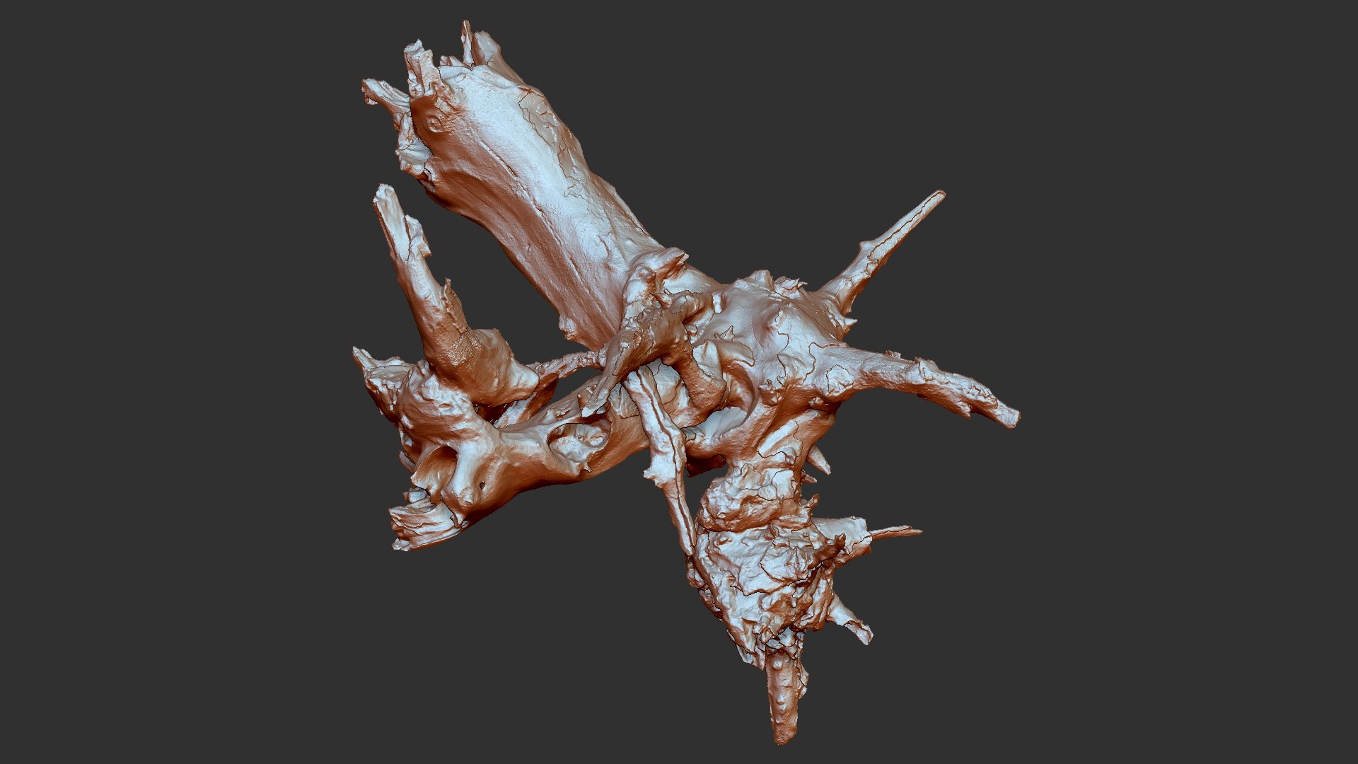 Withered tree root wood trunk zbrush engraving highpoly 3D model https://p.turbosquid.com/ts-thumb/rW/Fm5ESb/m5/scr14/jpg/1764649369/1920x1080/fit_q87/cd243fc79cf9e59a333f6811ff060bb354c65ab8/scr14.jpg