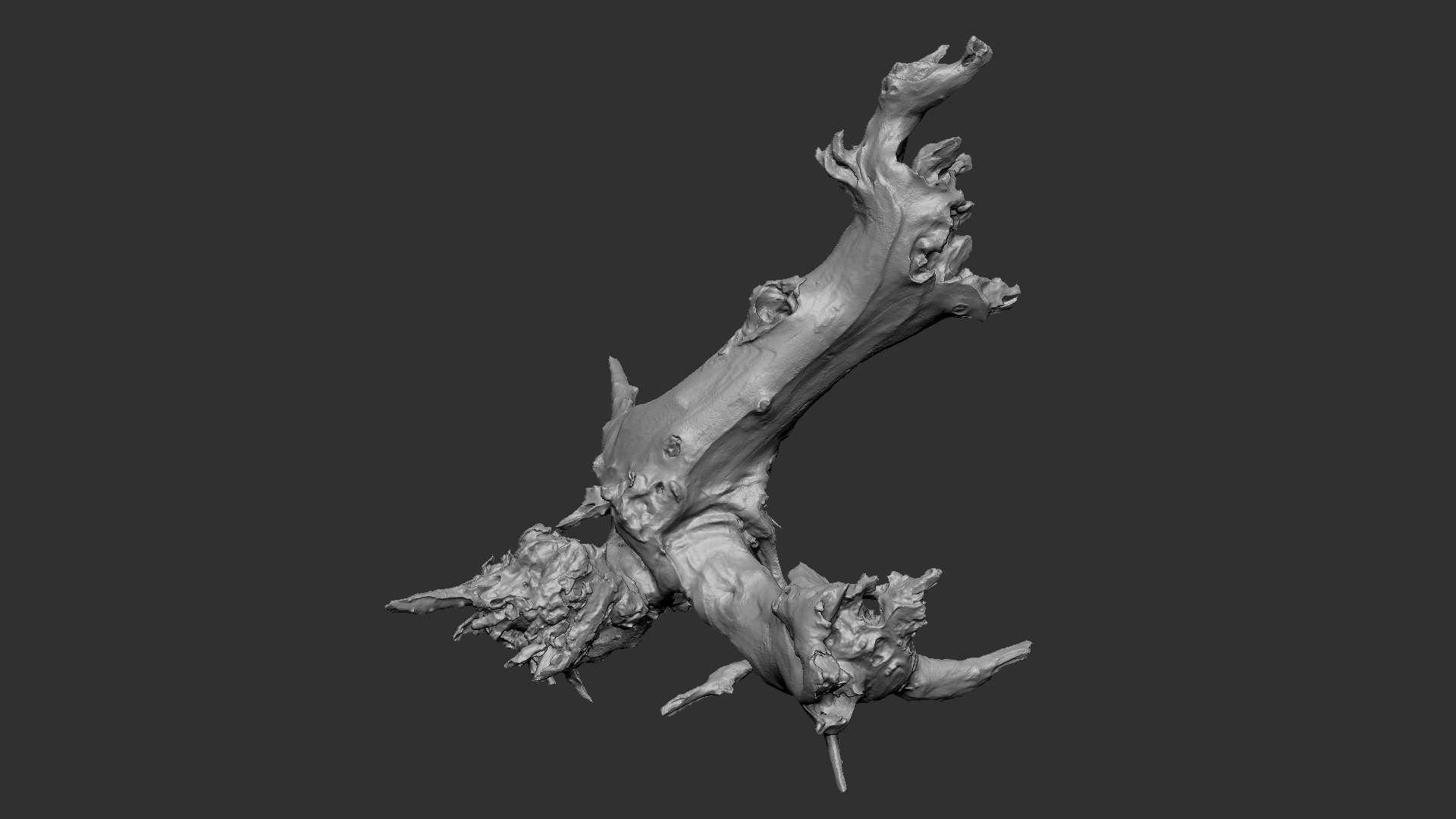 Withered tree root wood trunk zbrush engraving highpoly 3D model https://p.turbosquid.com/ts-thumb/rW/Fm5ESb/mV/scr06/jpg/1764649349/1920x1080/fit_q87/ebf33ce8118bed90ec8f327c49484a168f2b8aff/scr06.jpg