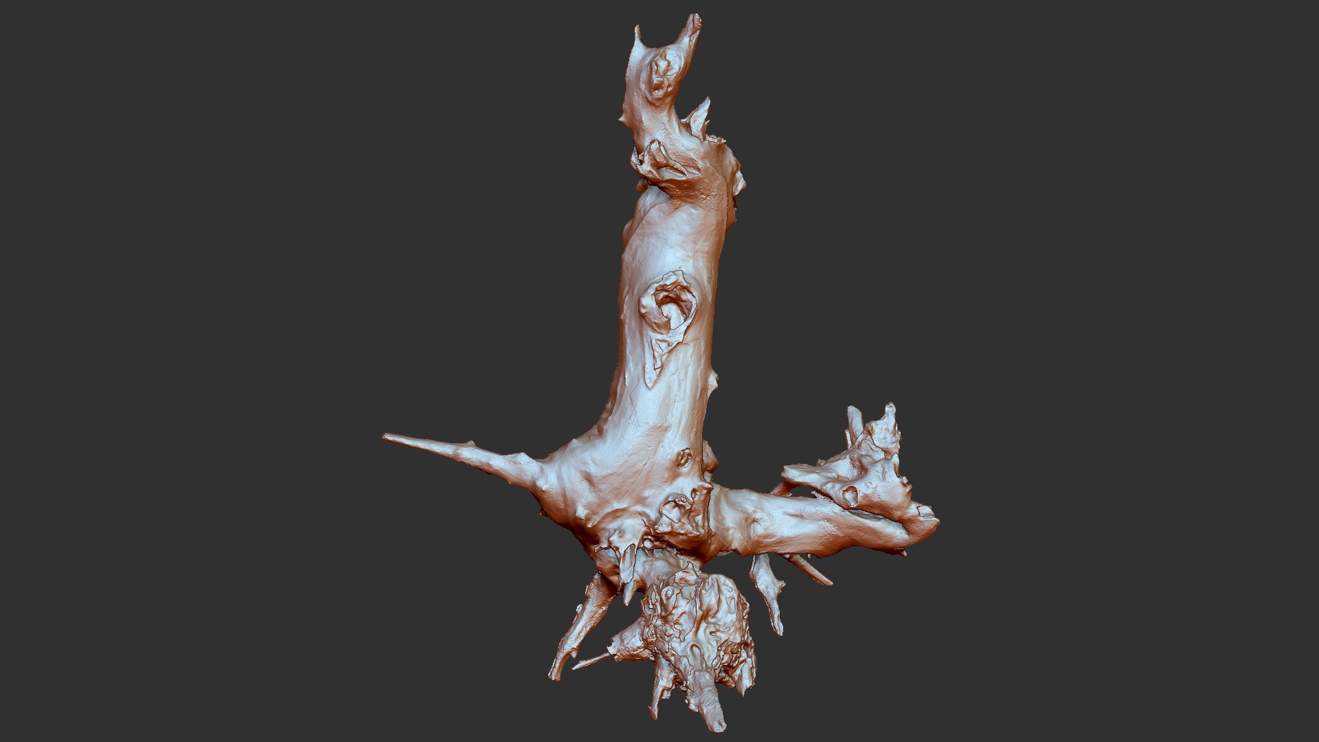 Withered tree root wood trunk zbrush engraving highpoly 3D model https://p.turbosquid.com/ts-thumb/rW/Fm5ESb/ow/scr09/jpg/1764649356/1920x1080/fit_q87/33a75e4c4dc24a312c8ec253a3ee4cdcab2b90c5/scr09.jpg