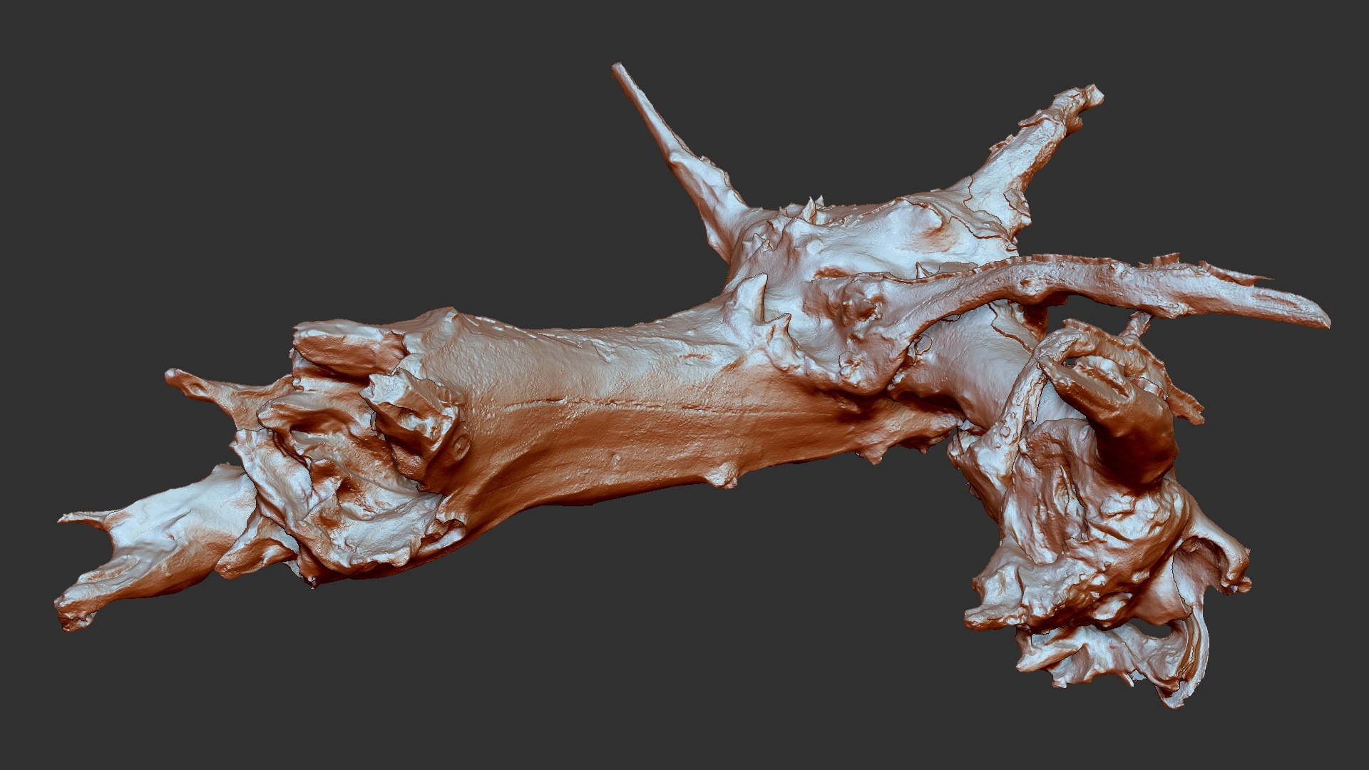 Withered tree root wood trunk zbrush engraving highpoly 3D model https://p.turbosquid.com/ts-thumb/rW/Fm5ESb/pa/scr11/jpg/1764649368/1920x1080/fit_q87/65df4dcace675a7bd6c047324e597dcc34ecde2c/scr11.jpg