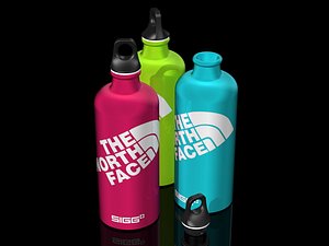 SIGG water Bottle