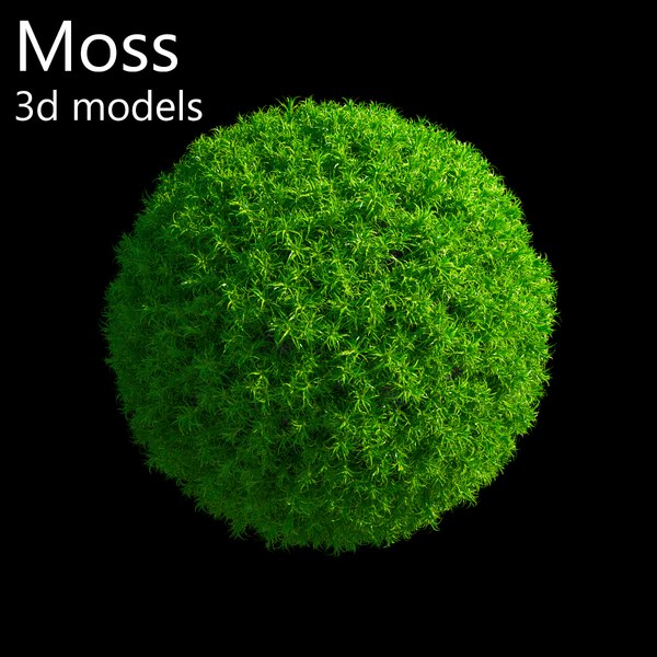 Мох 3. Мох 3ds Max. Стабилизированный мох 3ds Max. Мох для 3d Max. Мох 3d модель.